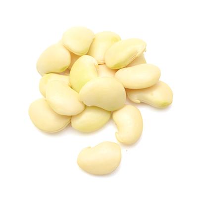 Butter Bean