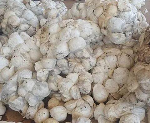 Cup Lump Rubber for Industrial Manufacturing and Production