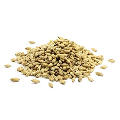 Malt