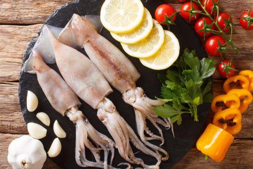 Peruvian Squid Guide