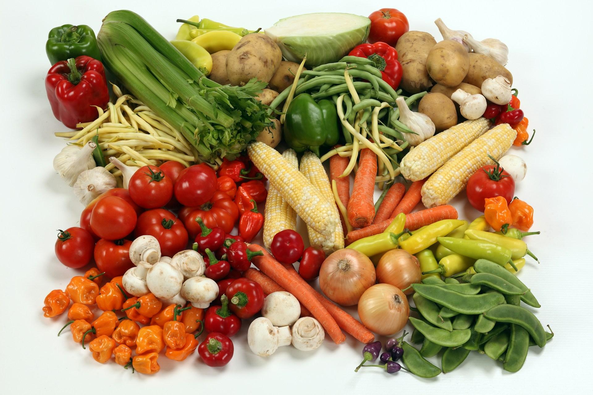 February 2025 Outlook Report: Vegetables