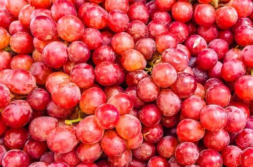 W12 Grape Update: Chilean Grape Exports Set to Reach 62 Million Boxes in 2023/24,  South African Table Grape Export Season Ending Early in 2024