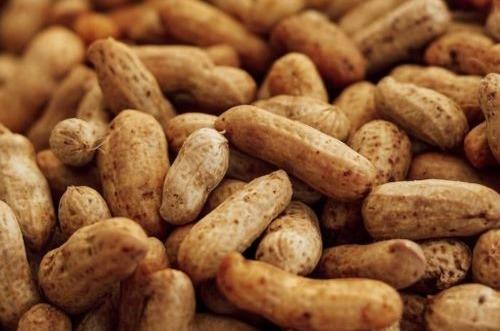 W6 Peanut Update: Peru's Organic Peanut Export to France and Peanuts Dominate Russian Imports in 2024