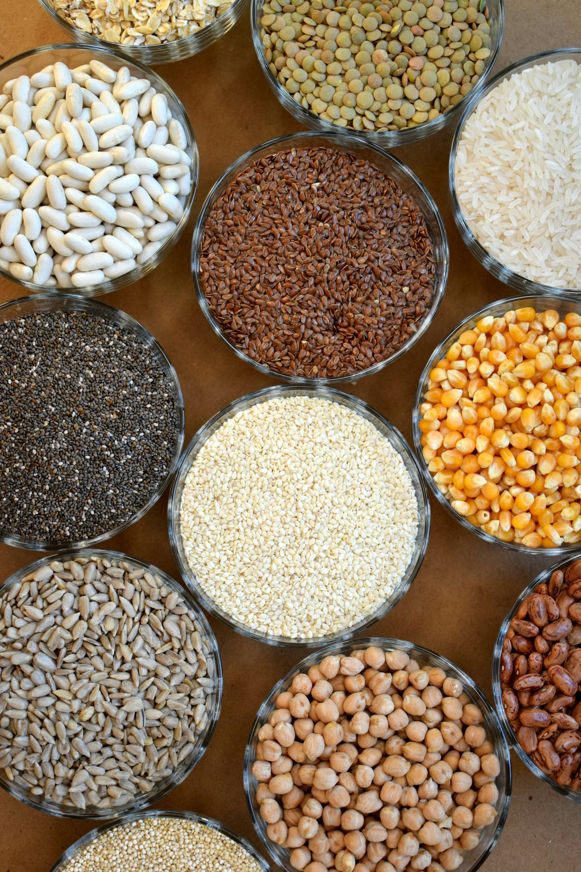 July 2025 Outlook Report: Grains