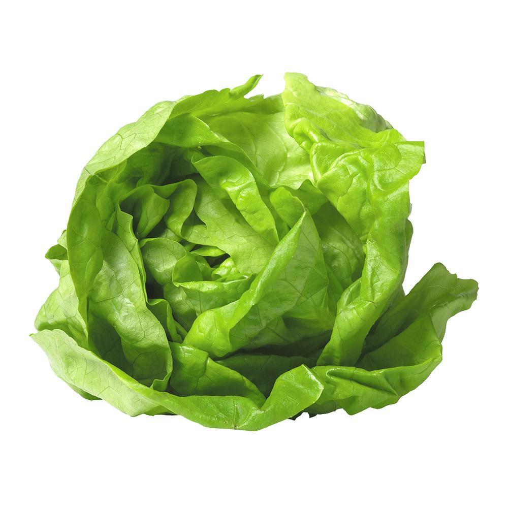 Road Blockages Caused 230% WoW Increase in Fresh Lettuce Prices in Western Colombia During W27