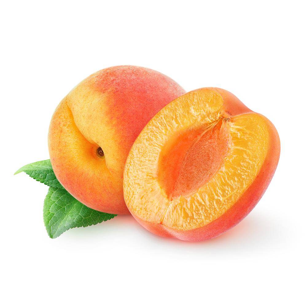 2024 Greek Apricot Season Ends with Severe Yield Losses