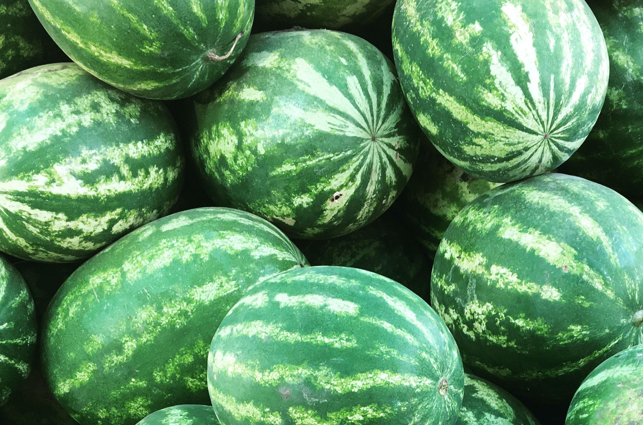 W5 Melon & Watermelon Update: Vietnam Expands Watermelon Exports to China, While US and Netherlands Navigate Supply Challenges