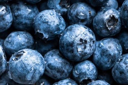 W14 Blueberry Update: Argentina's Blueberry Exports Successful Amidst Reduced Competition from Peru, Chilean Blueberry Exports Exceed Initial Estimates Despite Weather Challenges, and Turkey's Blueberry Season Thrives Amid Favorable Conditions