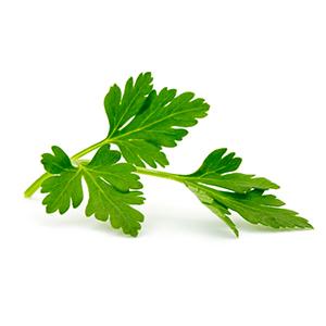Parsley Prices Plummetted by 50% MoM in Egypt in Sep-24