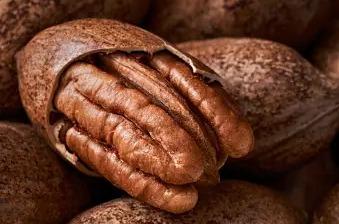 South African Pecan Exports Indicate Bumper 2023 Crop, Positive Outlook for 2024