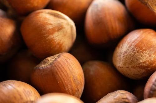 W19: Hazelnut Update