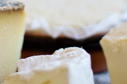 Global Cheese Trade: A Tridge Overview