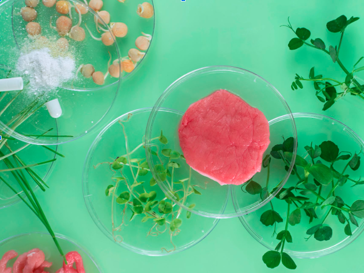 Cultivated Protein