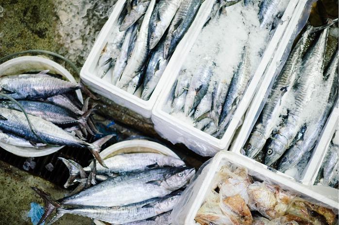 US Capelin Imports Rise Almost 30% YoY from Jan-23 to Oct-23; Prices to Face Upward Pressure in 2024