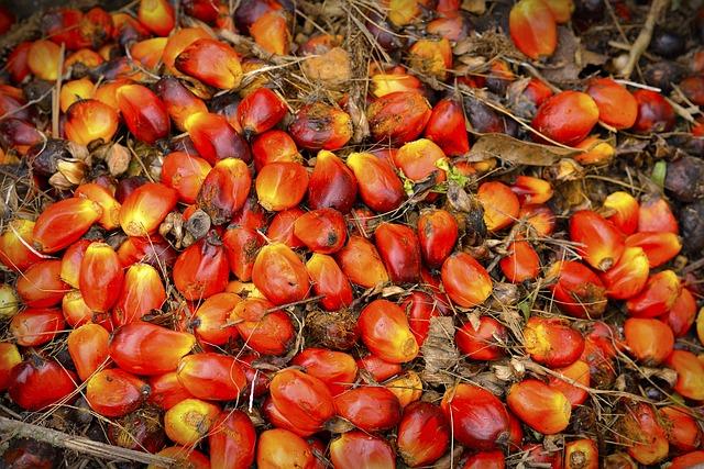 W29 2024: Palm Oil Weekly Update