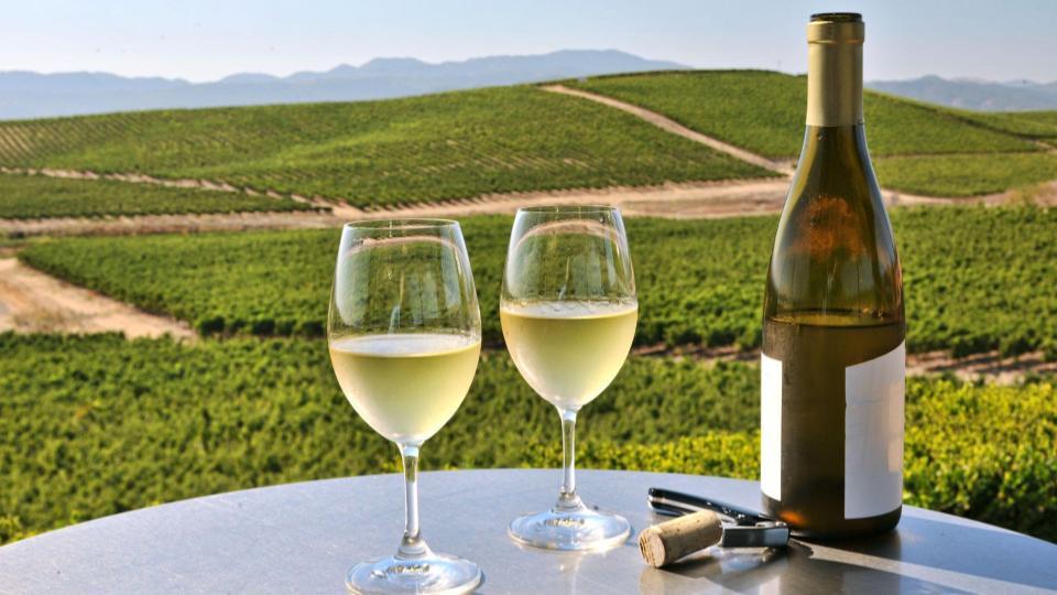 Wine Report: United States 2023