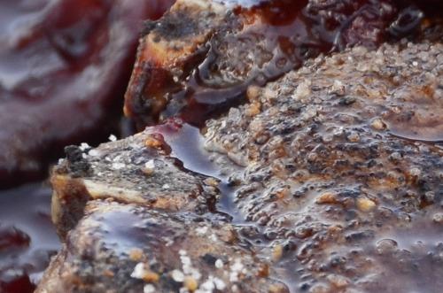 Cultivated Meat on the Menu in the US for the First Time in History