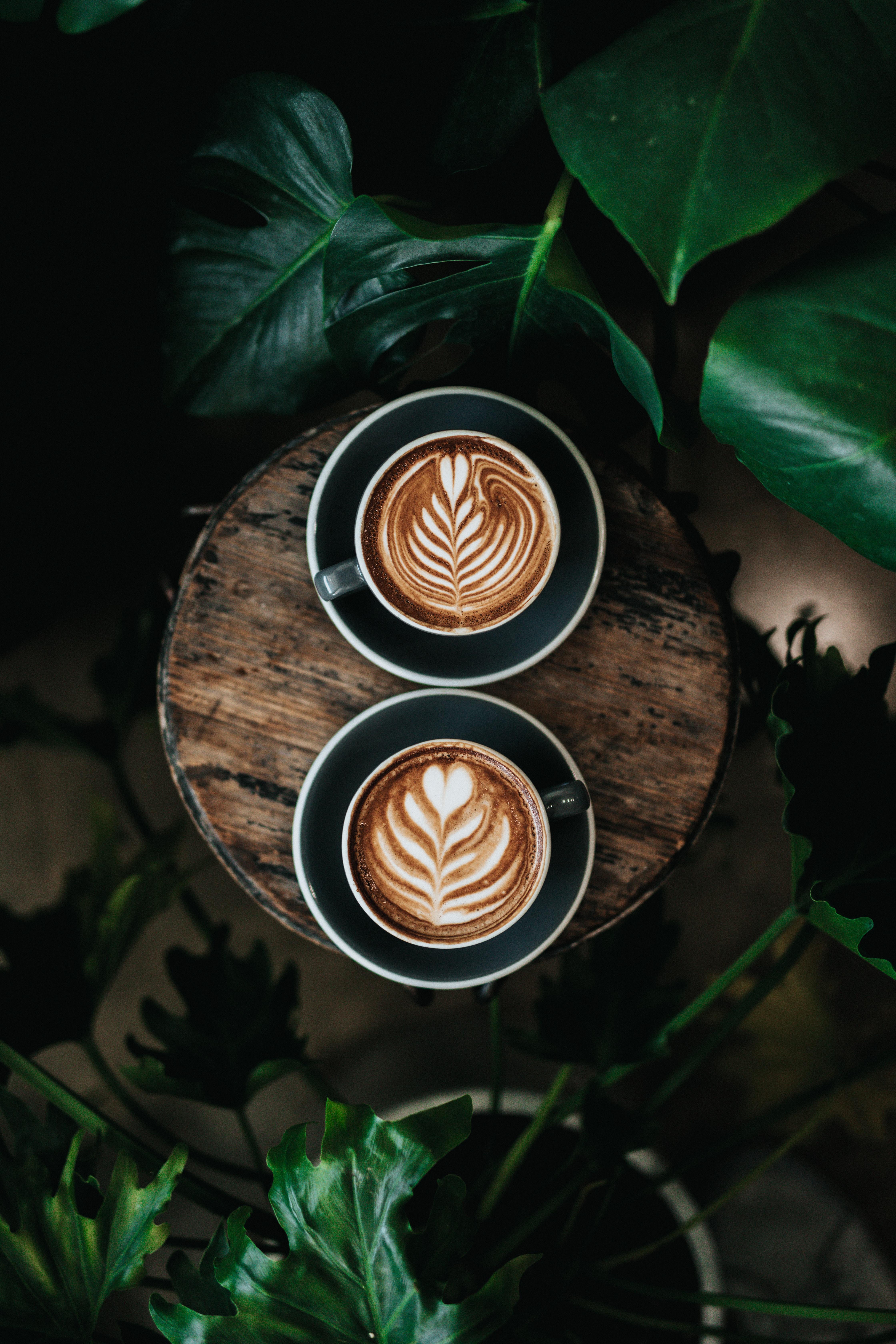October Outlook Report - Coffee, Sugar, and Value-added Products