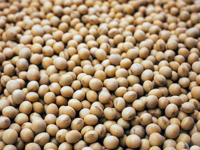 W27 2025: Soybean Weekly Update
