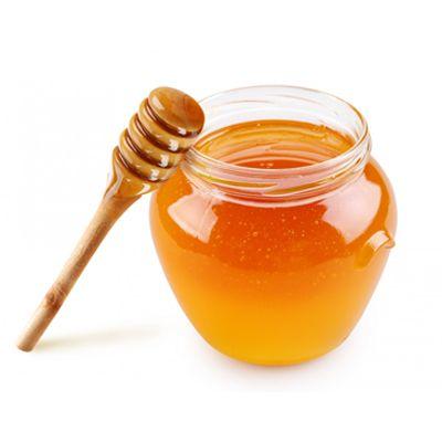 Honey Guide