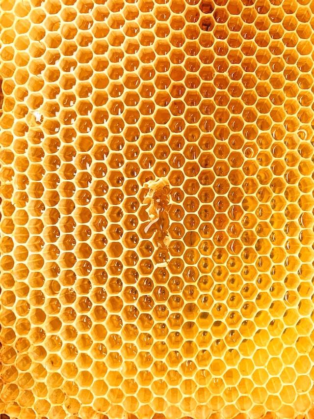 W12 Honey Update: EU Grapples with Widespread Imported Honey Fraud