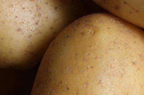 Can Egypt Close the European Potato Shortage Caused by Extreme Weather?