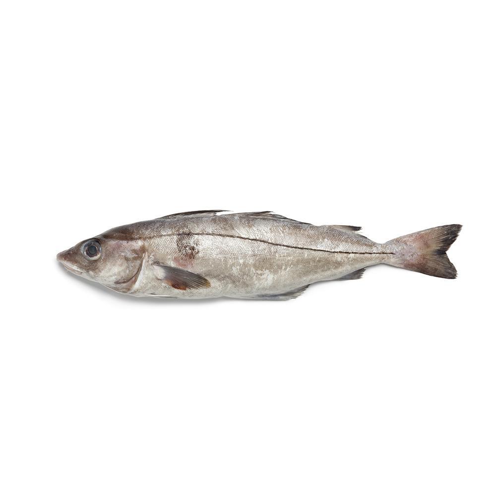 USTR Extends Duty Exemption Deadline for Certain Chinese Seafood Products to the USA During W52