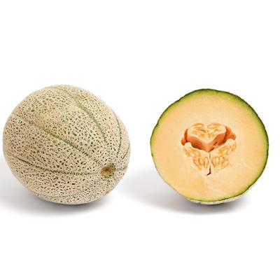 Cantaloupe Outbreak and Recall Management Across the US and Canada