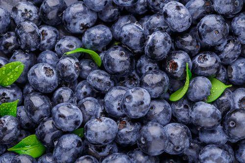 Polish Blueberry Guide