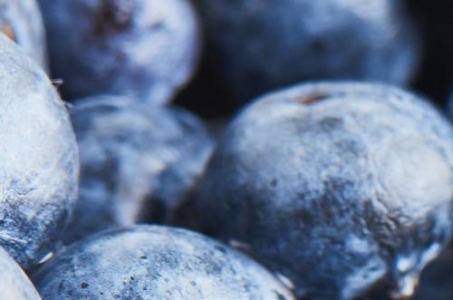 Overview and Short-Term Outlook for the Polish Berry Sector