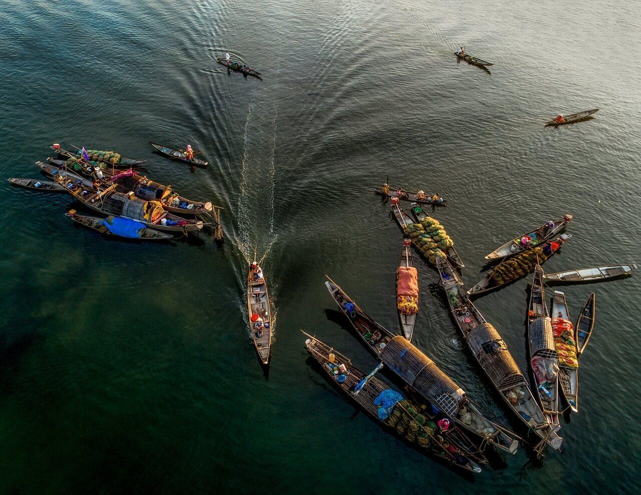New Tariffs Tighten the Net on Vietnamese Seafood and Fruit Exports