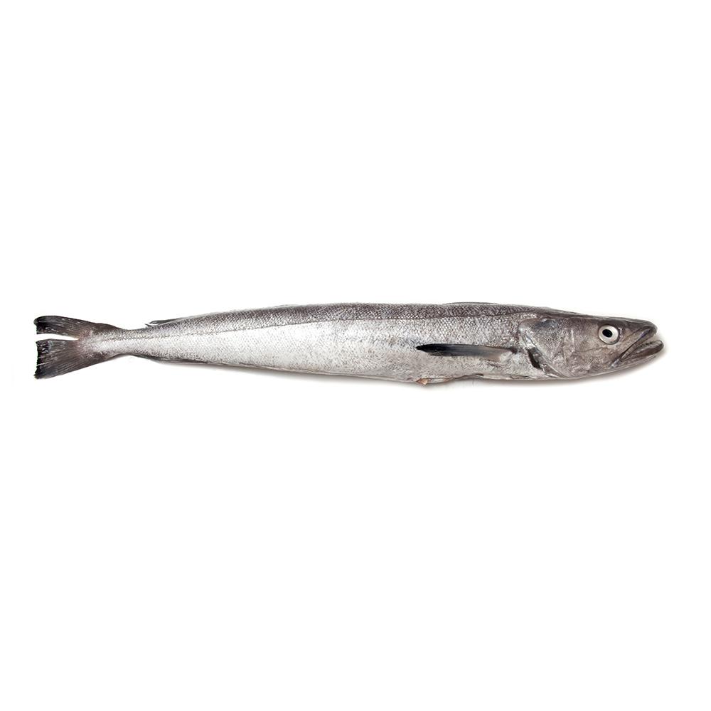 High Demand for Hake Sausage in Portuguese and Spanish Markets During W6 Amid Scarcity Due to Low Production