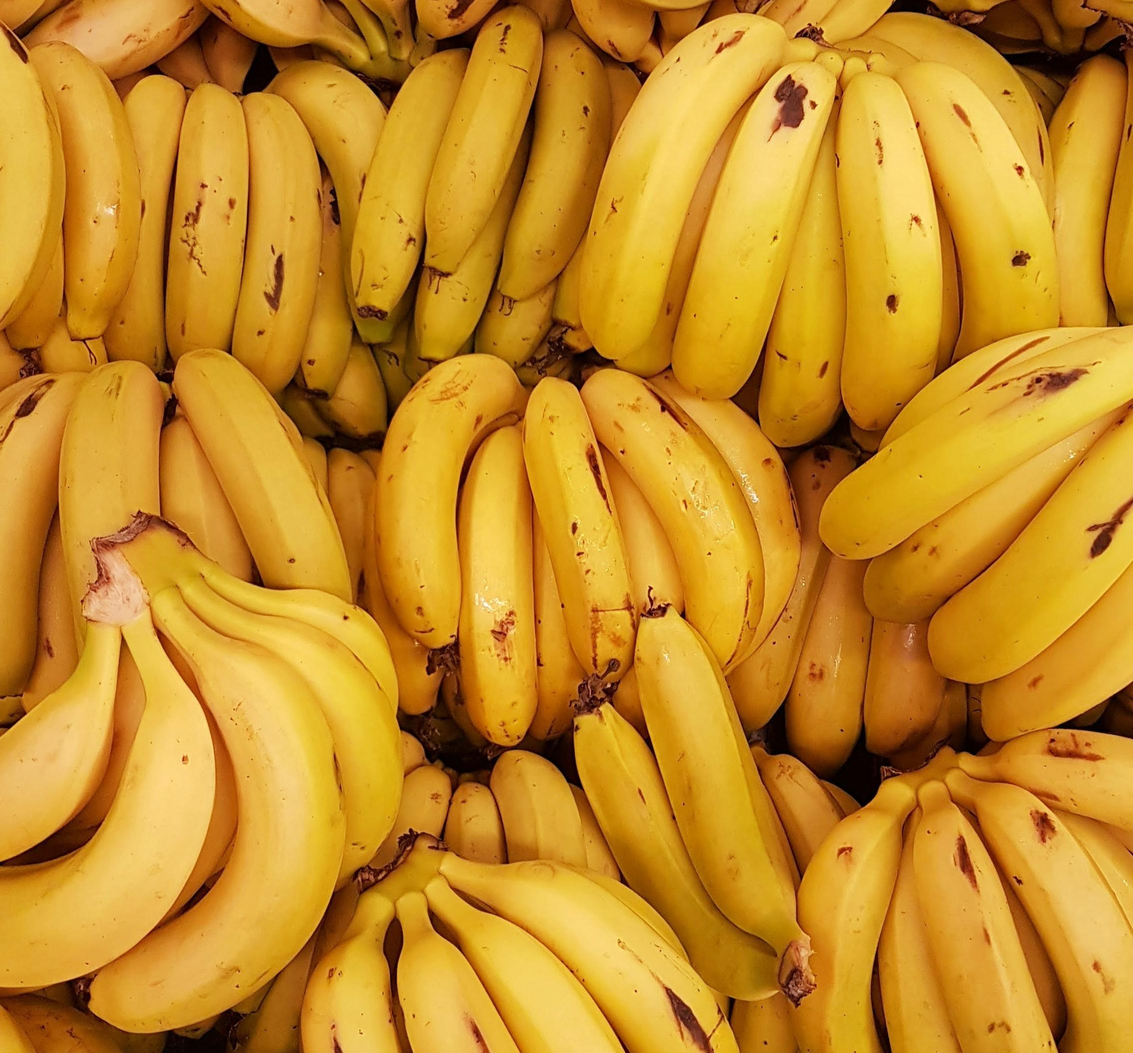 Top Exporters Lead Stable Global Banana Market in 2023