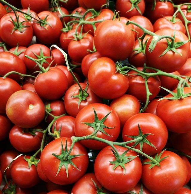 W29 2024: Tomato Weekly Update