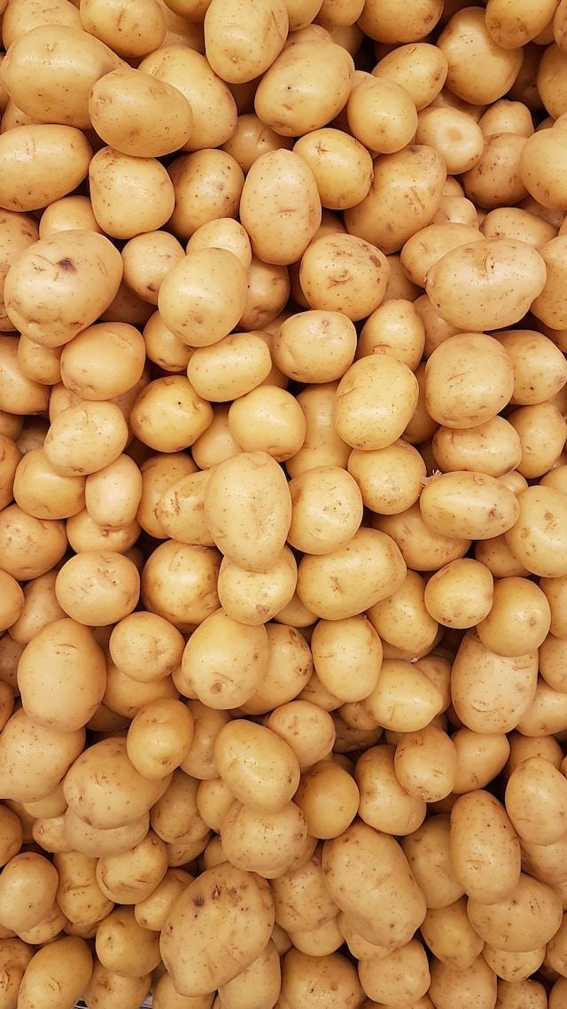 W8 Potato Update: Dutch Seed Potato Decline Raises Concerns for Global Food Security, Ukrainian Market Sees Price Adjustments Amidst Increased Supply