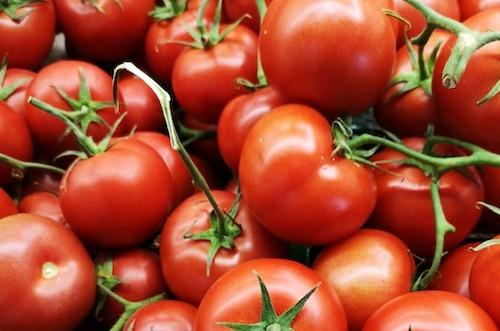 W5 Tomato Update: EEC Council Approves Duty-Free Tomato Imports for Russia and Belarus, France Raises Concerns Over 7.6% YoY Surge in Moroccan Tomato Imports in 2023