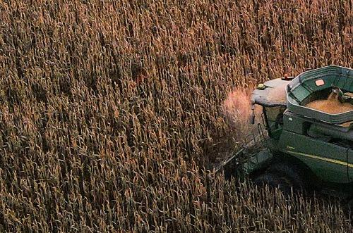 Challenging Season Ahead: Unfavorable Weather Impacts US Corn and Sorghum Production