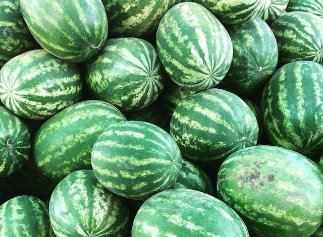 W4 Melon and Watermelon Update: Phytosanitary Protocols for Vietnamese Watermelons to China, Rising Demand for Hungarian Watermelons, Record Production in Mexico, and Quality Advocacy in Peru