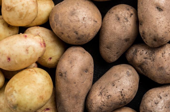 European Potato Market 2024: Climate Challenges, Rising Costs, and Sustainability Concerns