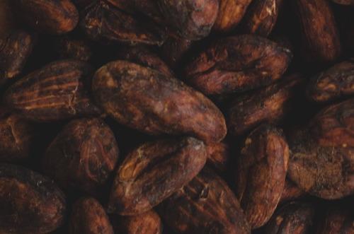 Cocoa Crunch: Navigating Global Supply Shortages and Surging Prices with Tridge's Comprehensive Solutions