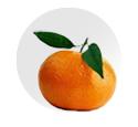 Nadorcott Clementine