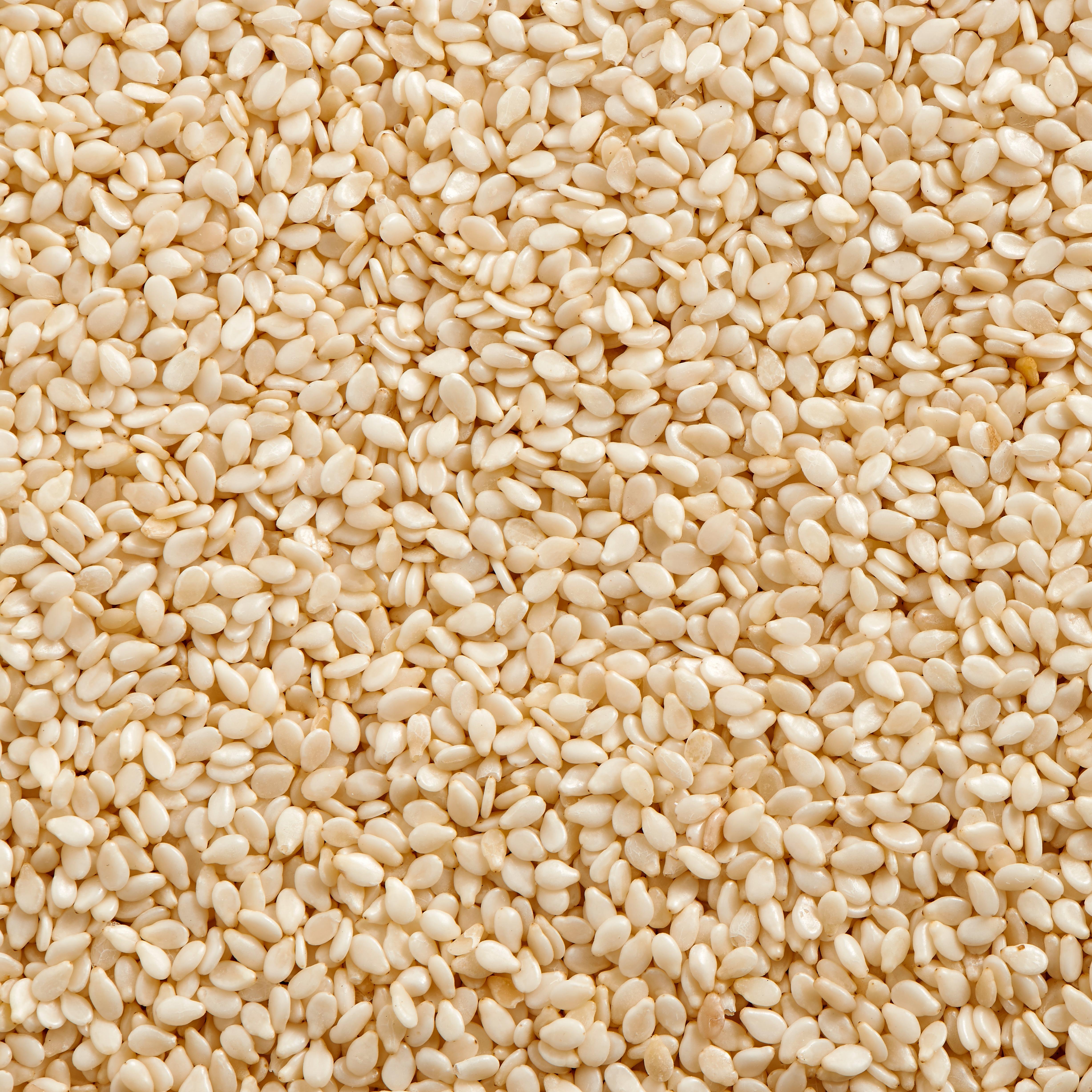 Sesame Seeds