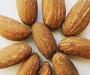 Kola Nut