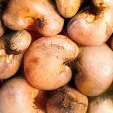 Cashew Nuts