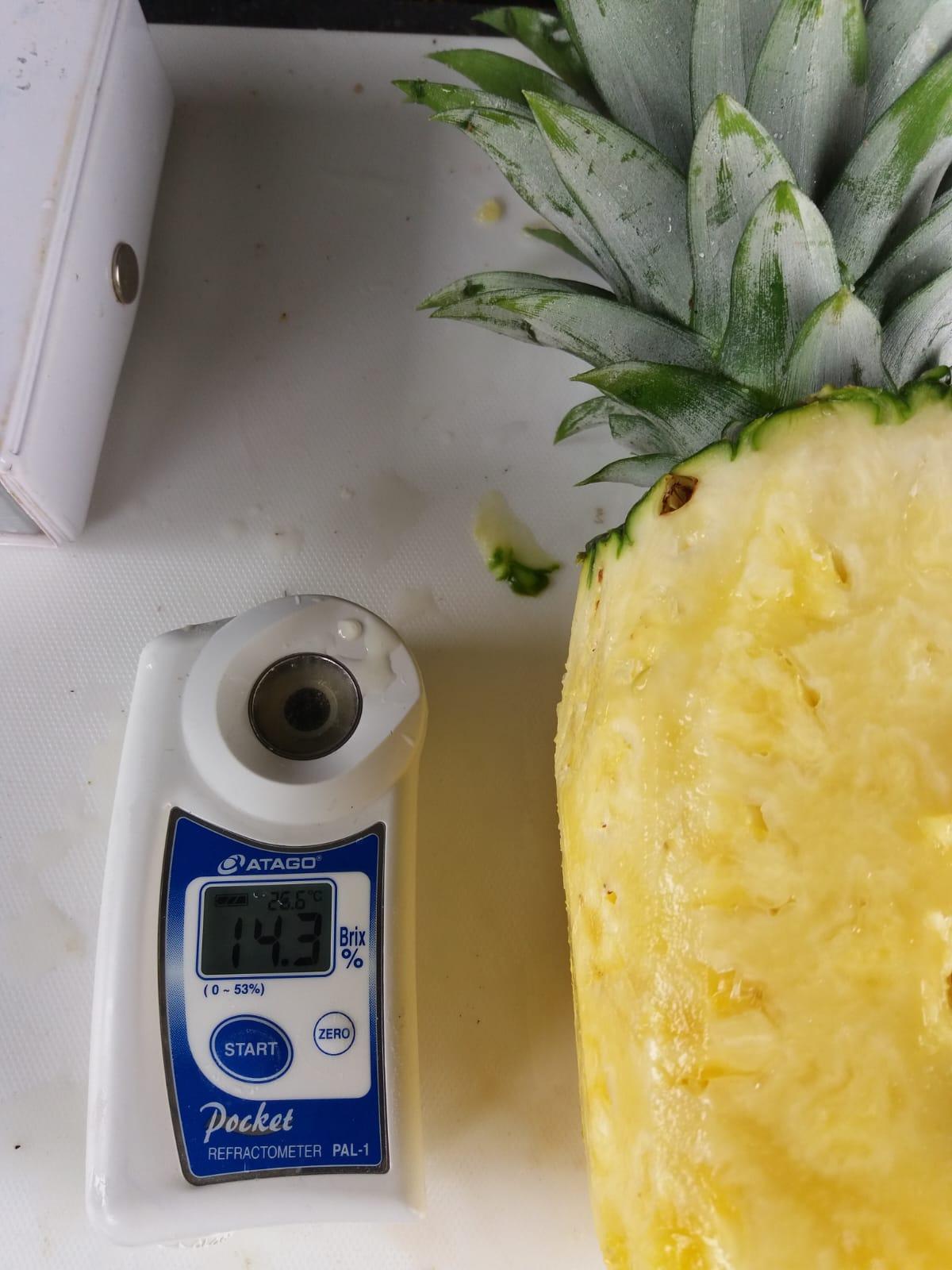 Organic and Conventional MD2 Pineapple