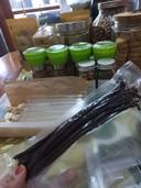 Vanilla Beans Plani