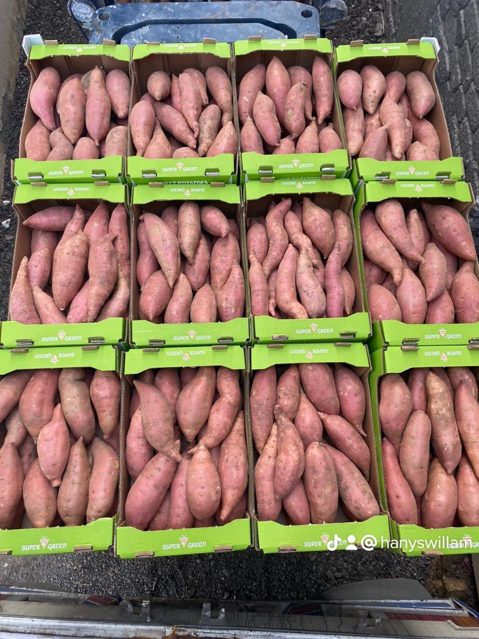 Sweet potato
