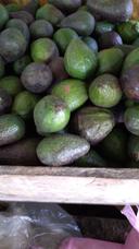 Avocados