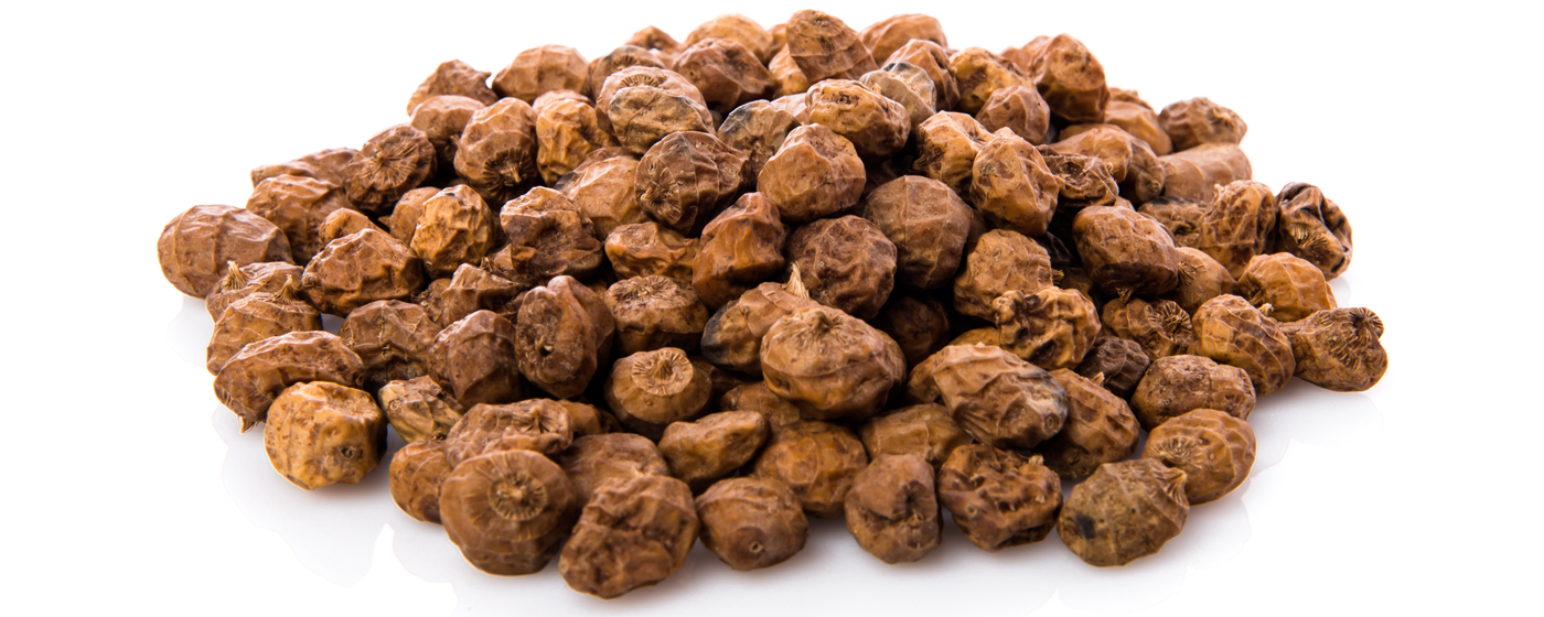Tiger Nuts