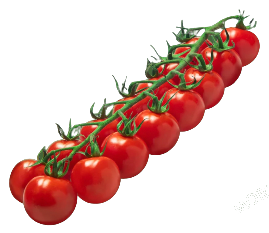 Red Desire Tomatoes